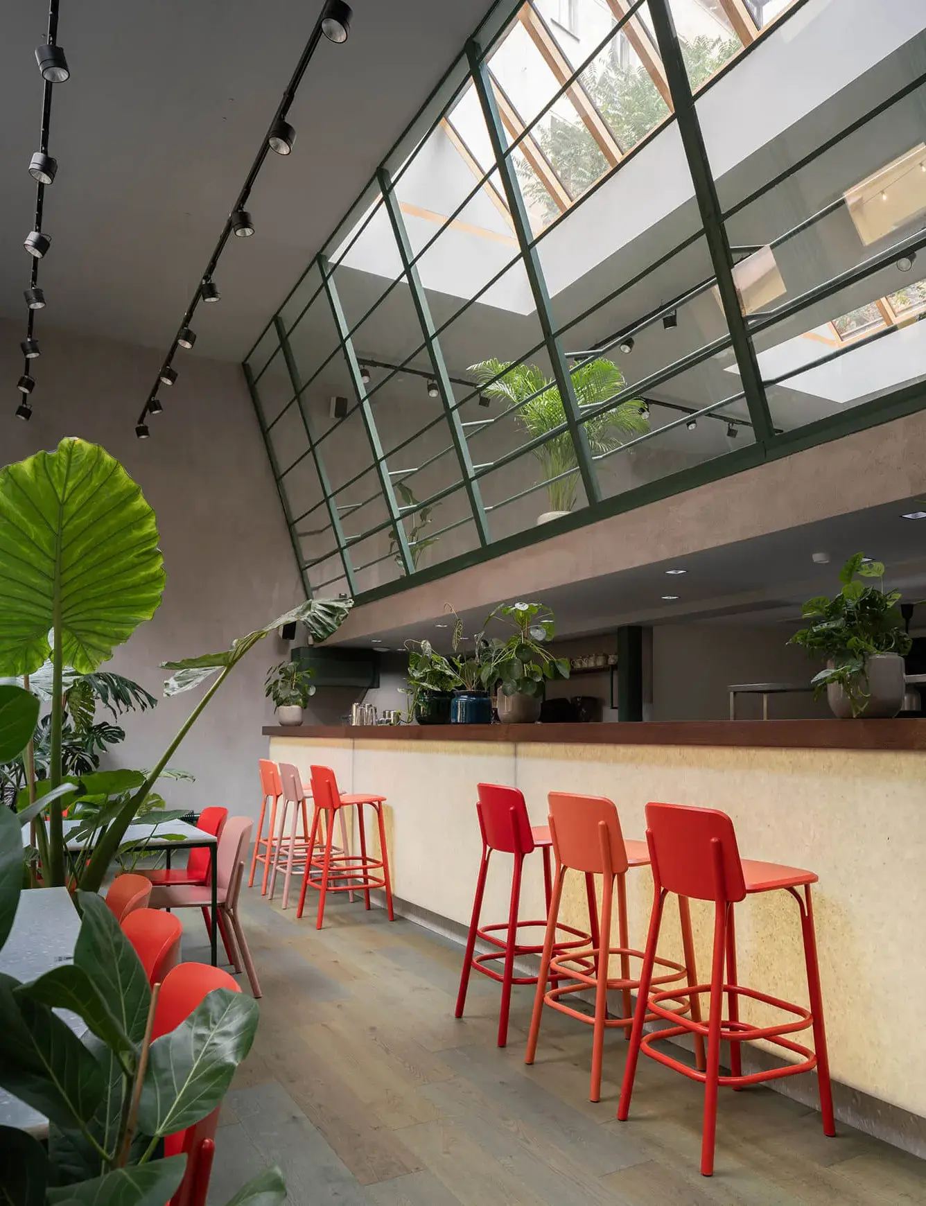 Moderní interiér kavárny Healthy Longevity Café v Praze s vysokým barem, červenými barovými židlemi a proskleným atriem, které do prostoru s dubovou podlahou a množstvím zelených rostlin přivádí přirozené denní světlo.